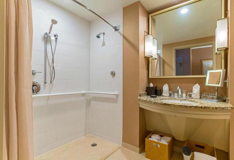 适合残疾人使用的标准间, Hyatt Regency Coconut Point Resort & Spa Near Naples