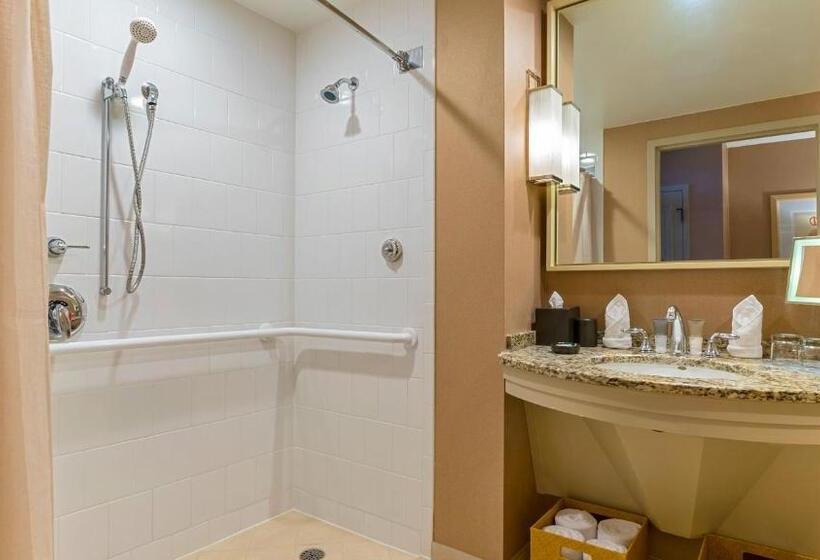 身障者適用スタンダードルーム, Hyatt Regency Coconut Point Resort & Spa Near Naples