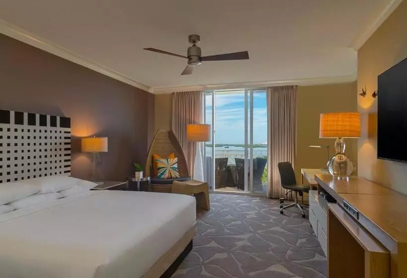 身障者適用キングサイズベッドルーム, Hyatt Regency Coconut Point Resort & Spa Near Naples