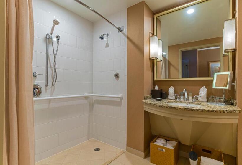 身障者適用キングサイズベッドルーム, Hyatt Regency Coconut Point Resort & Spa Near Naples