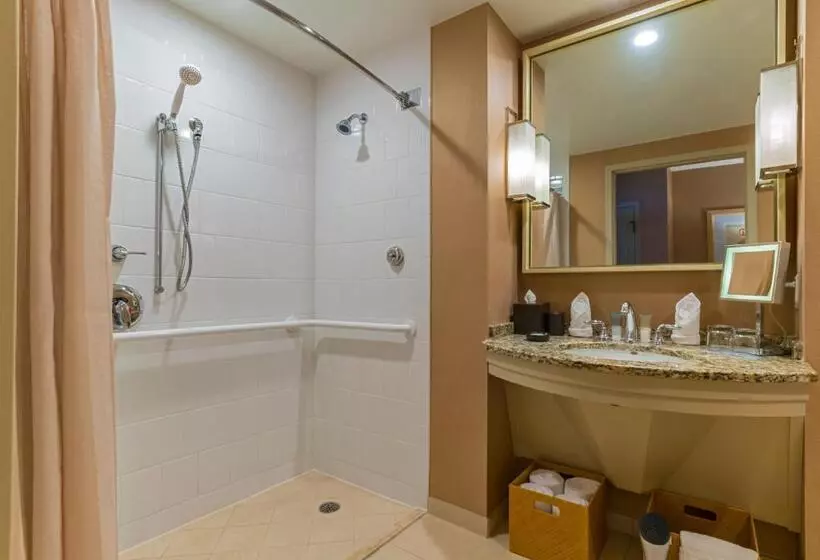 身障者適用キングサイズベッドルーム, Hyatt Regency Coconut Point Resort & Spa Near Naples
