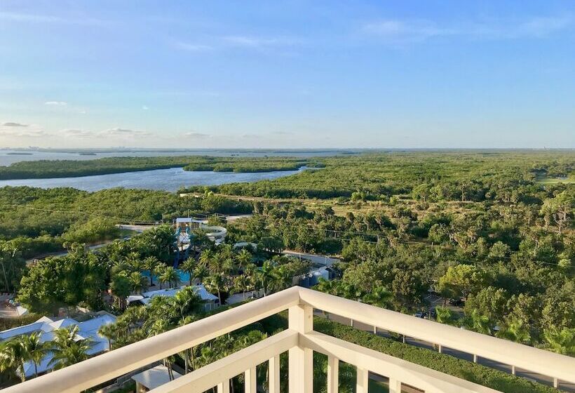 2ダブルベッドのスタンダードルーム, Hyatt Regency Coconut Point Resort & Spa Near Naples