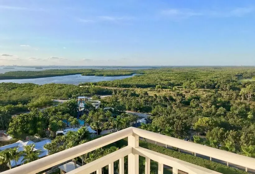 2ダブルベッドのスタンダードルーム, Hyatt Regency Coconut Point Resort & Spa Near Naples