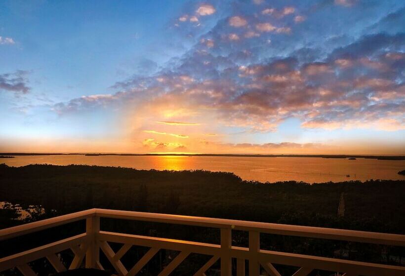 プレミアムスイート, Hyatt Regency Coconut Point Resort & Spa Near Naples