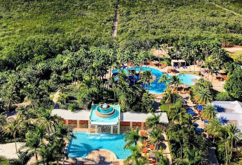 高级套房, Hyatt Regency Coconut Point Resort & Spa Near Naples