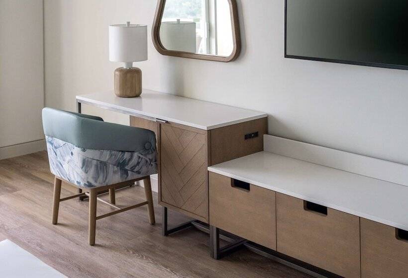 高级套房, Hyatt Regency Coconut Point Resort & Spa Near Naples