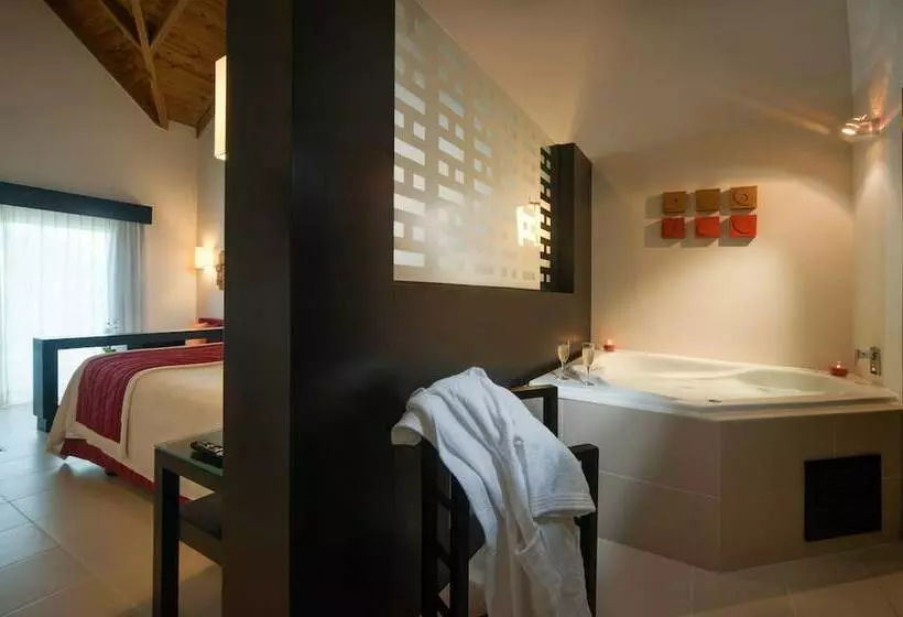 سوییت لوکس, Punta Cana Princess - Adults Only - All Inclusive