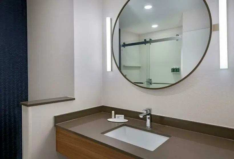 Sviitti King-vuode, Fairfield Inn & Suites Charlotte Monroe