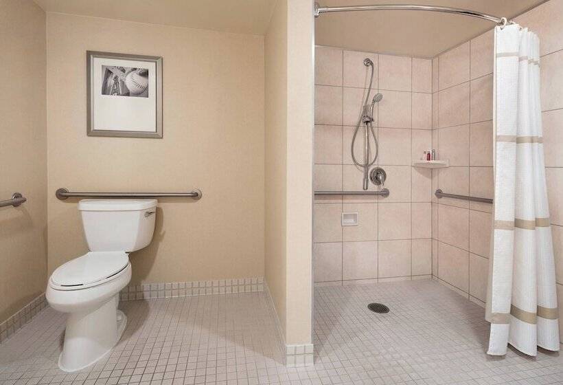 Люкс Адаптированный для Инвалидов, Anaheim Marriott Suites