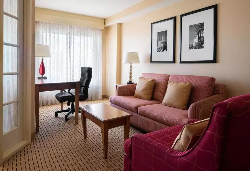 سوئیت با تخت بزرگ, Anaheim Marriott Suites