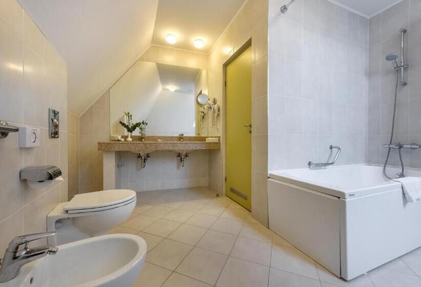 سوییت جونیور, Artis Centrum Hotels