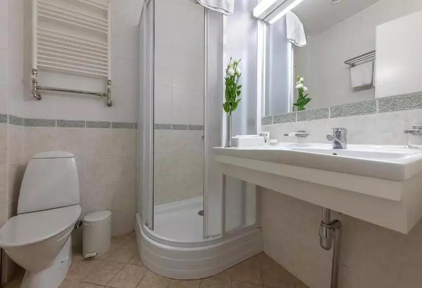 اتاق استاندارد یک نفره, Artis Centrum Hotels