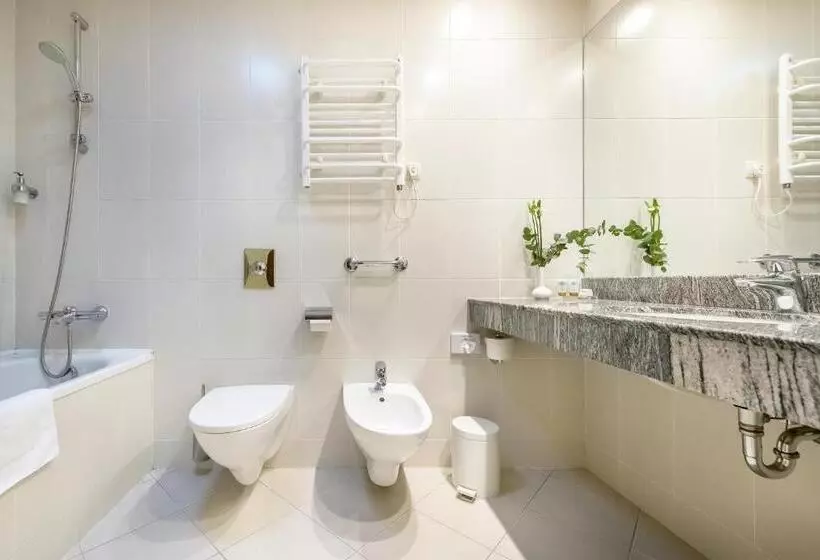 اتاق اجرایی, Artis Centrum Hotels