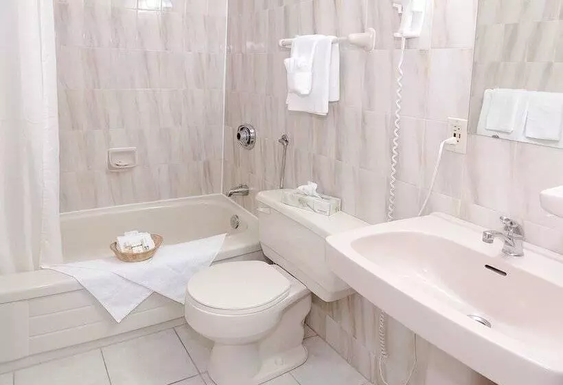 スイート, Coastal Inn Dartmouth