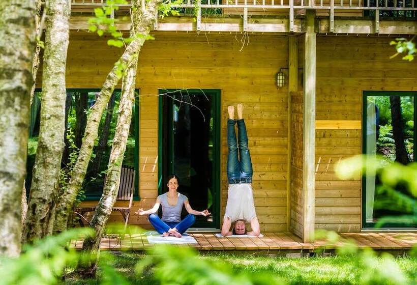 غرفة عائلية, Des Trois Hiboux