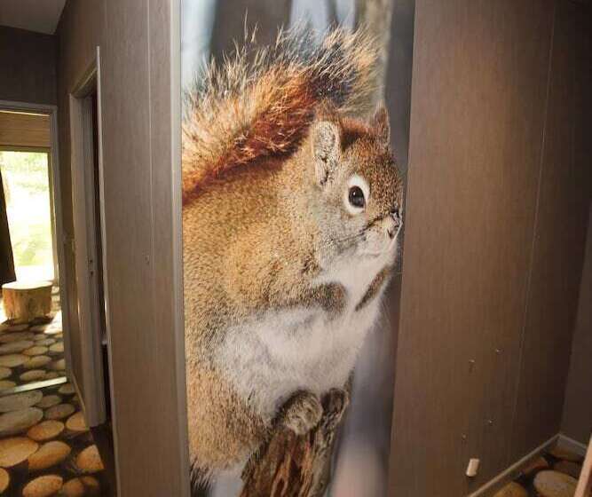 غرفة عائلية, Des Trois Hiboux