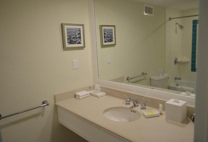 オーシャンビュースタンダードルーム, Lighthouse Pointe At Grand Lucayan Resort