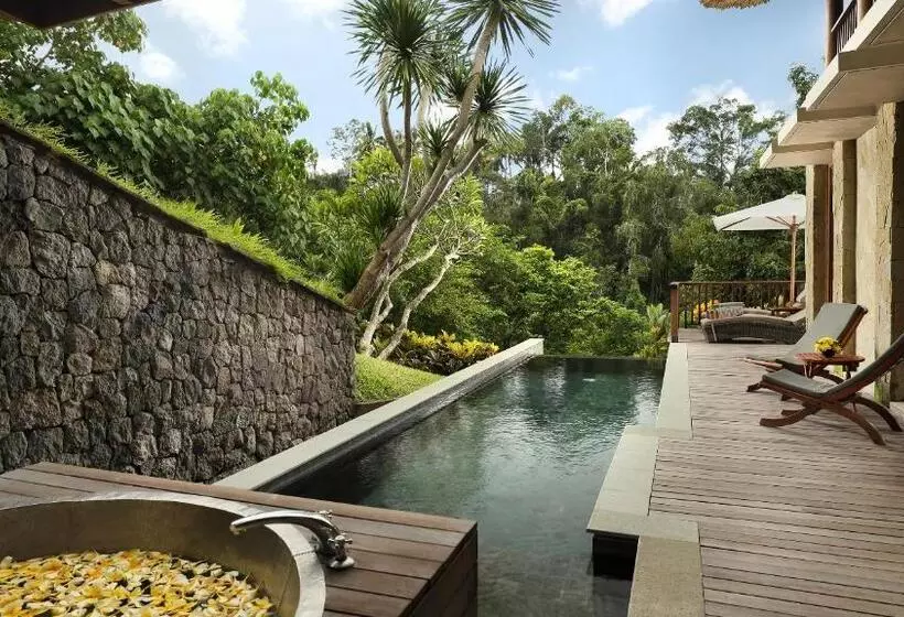 ویلای 2 خوابه, Maya Ubud Resort & Spa