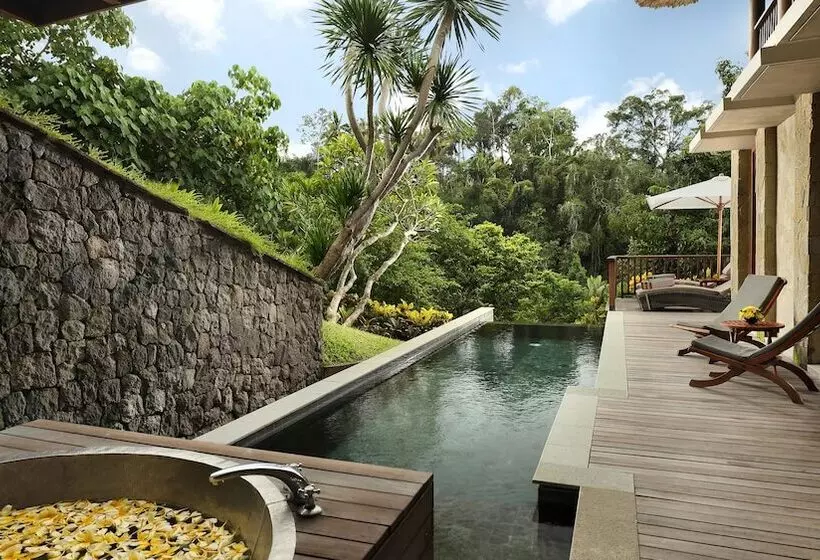 ویلای 2 خوابه, Maya Ubud Resort & Spa