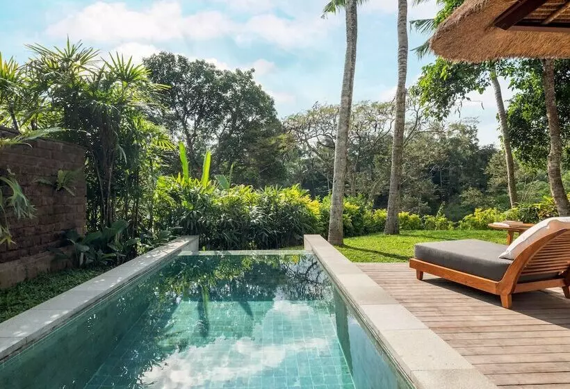 ویلای یک اتاق خوابه با استخر شنا, Maya Ubud Resort & Spa