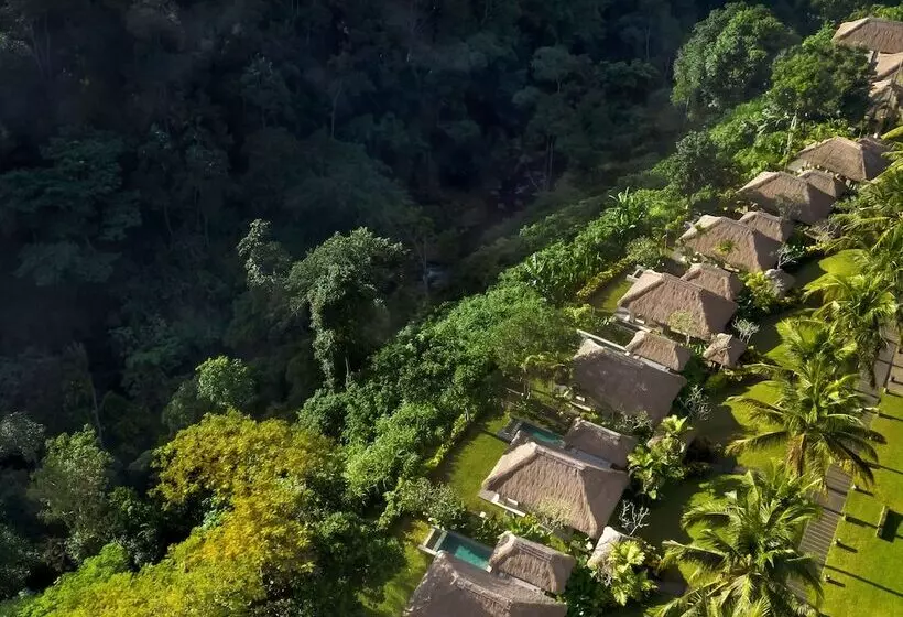 ویلای یک اتاق خوابه با استخر شنا, Maya Ubud Resort & Spa