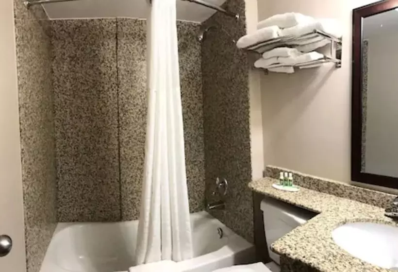 Deluxe-huone, Red Maple Inn And Suites