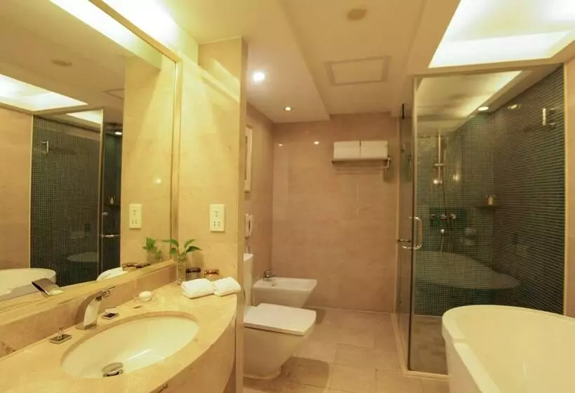 Camera Executive, Hubei Poly