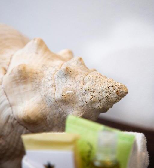 חדר קומפורט, Amar Inn