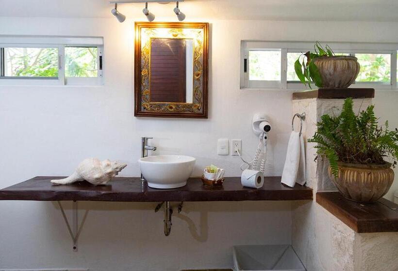 חדר קומפורט, Amar Inn