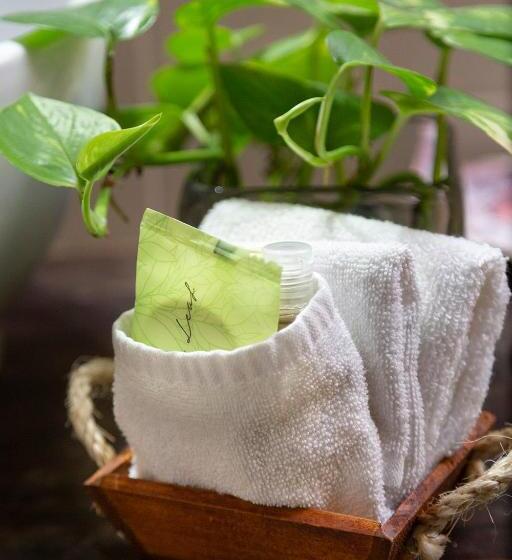 בקתה סטנדרטית, Amar Inn