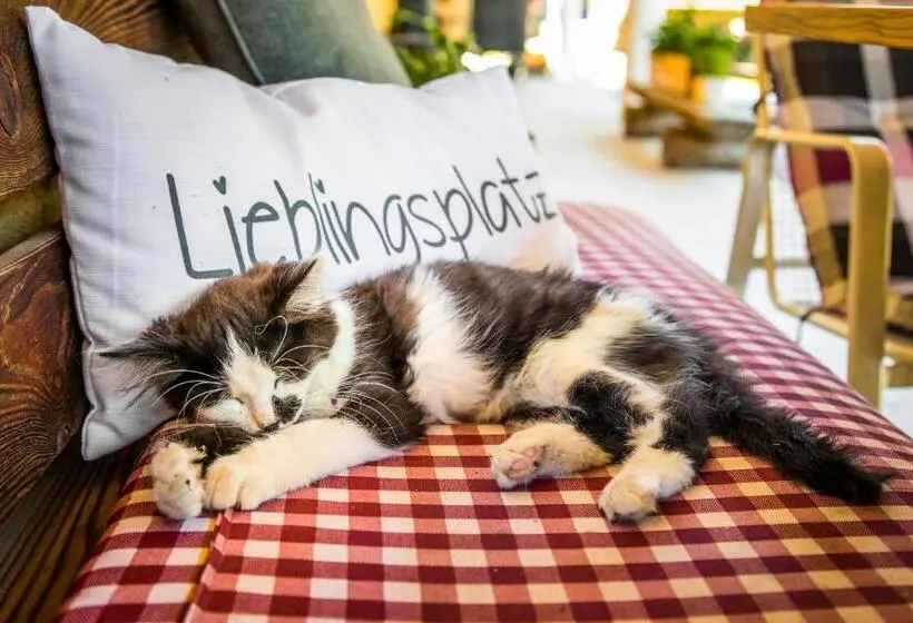 آپارتمان 1 خوابه با چشم‌انداز, Ferienhof Unterlehengut
