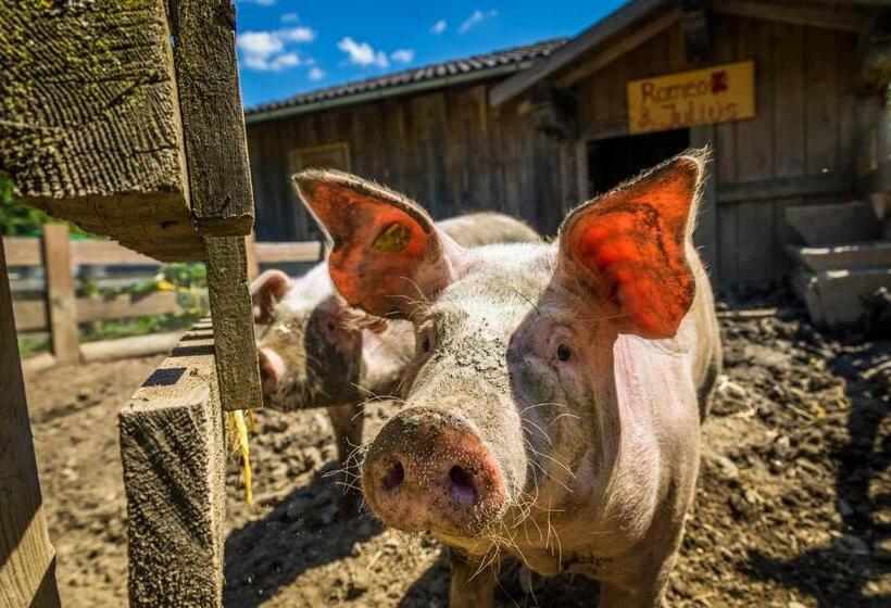 침실 3개 아파트, Ferienhof Unterlehengut