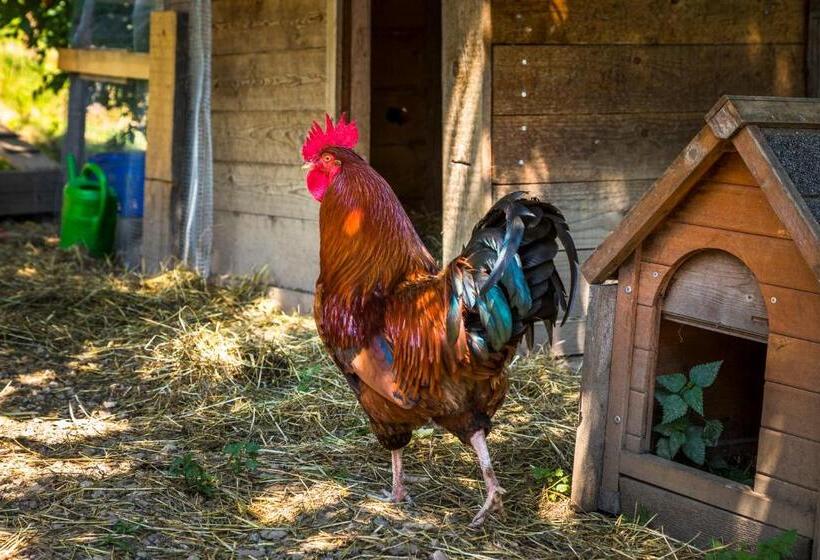 침실 1개 전망 아파트, Ferienhof Unterlehengut