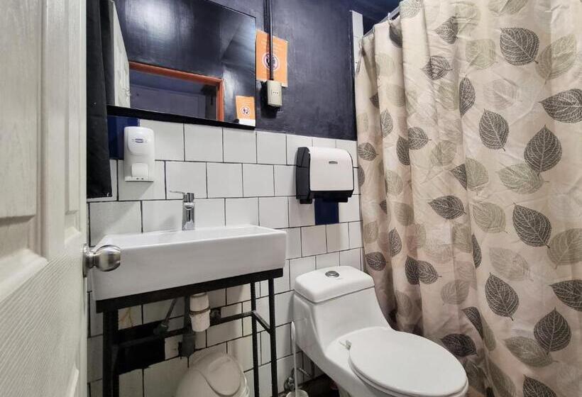 اتاق استاندارد چهارنفره با سرویس بهداشتی مشترک, Maki Hostels & Suites Valparaiso