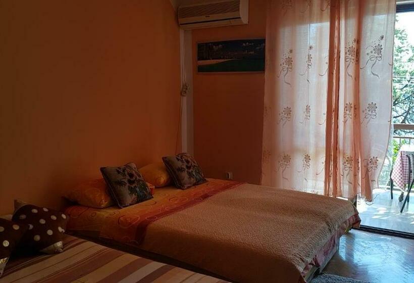 استودیوی استاندارد, Guest House Cinderella