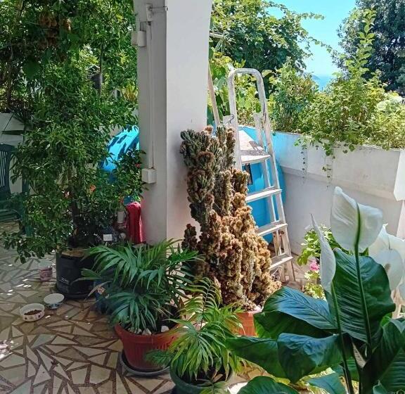 اتاق استاندارد یک نفره, Guest House Cinderella