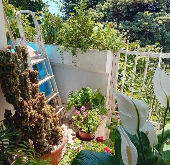 اتاق استاندارد یک نفره, Guest House Cinderella