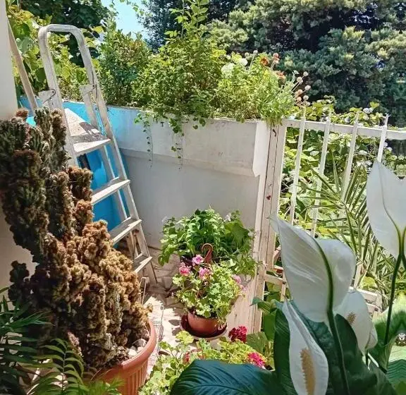 اتاق استاندارد یک نفره, Guest House Cinderella