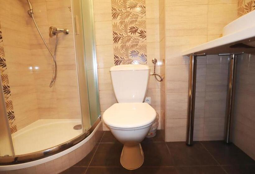 Номер Стандарт Индивидуальный, Penzion Pokorny