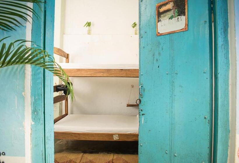 מיטה בחדר משותף, Hostel Pueblito Magico