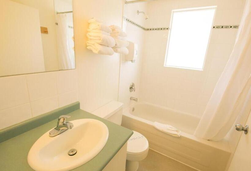 اتاق لوکس, Mountain Springs Motel