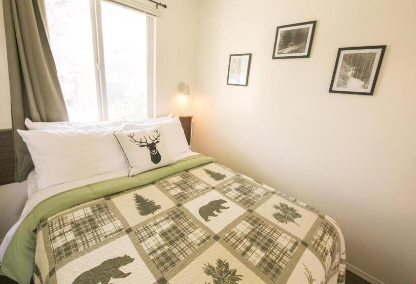 اتاق لوکس, Mountain Springs Motel