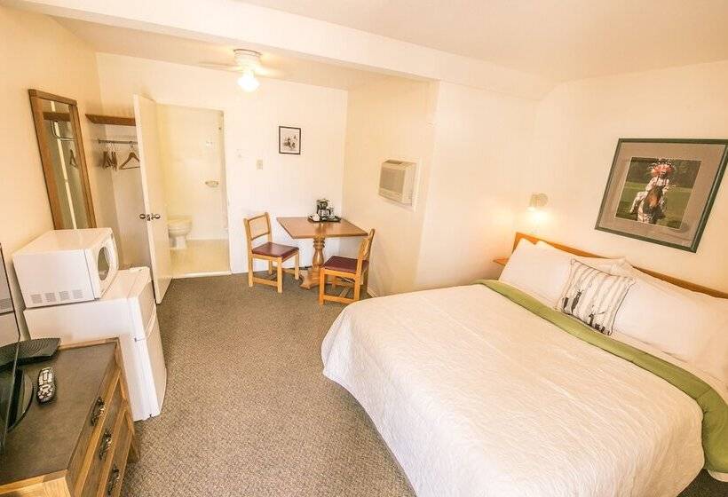 اتاق اکونومی, Mountain Springs Motel
