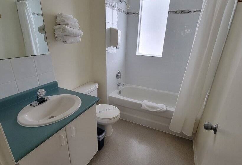 اتاق استاندارد, Mountain Springs Motel