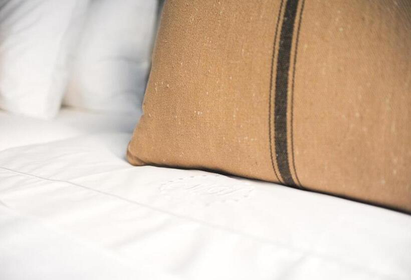 اتاق استاندارد چهار تخته, Mo House