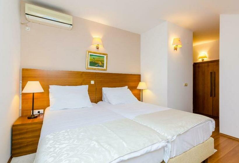 غرفة قياسية مطلة على المدينة, Pansion Srebreno