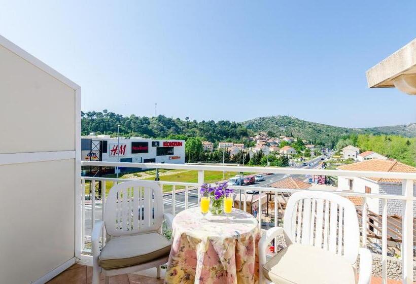 غرفة قياسية مطلة على المدينة, Pansion Srebreno