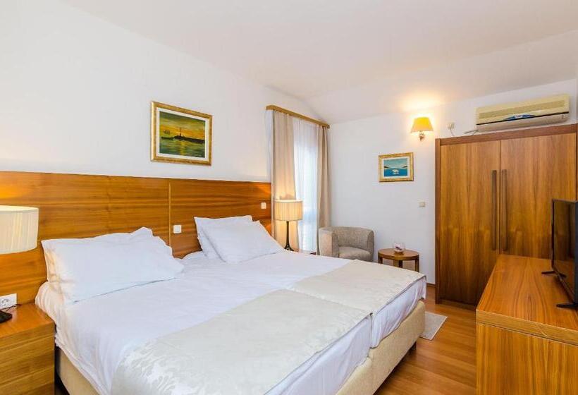 غرفة قياسية مطلة على المدينة, Pansion Srebreno