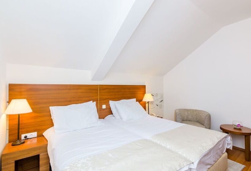 غرفة قياسية مطلة على المدينة, Pansion Srebreno