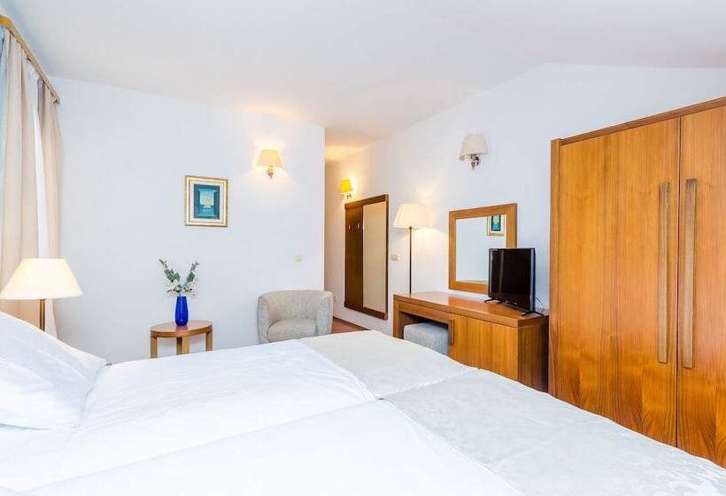 غرفة قياسية مطلة على المدينة, Pansion Srebreno